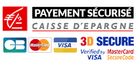 Logo payement